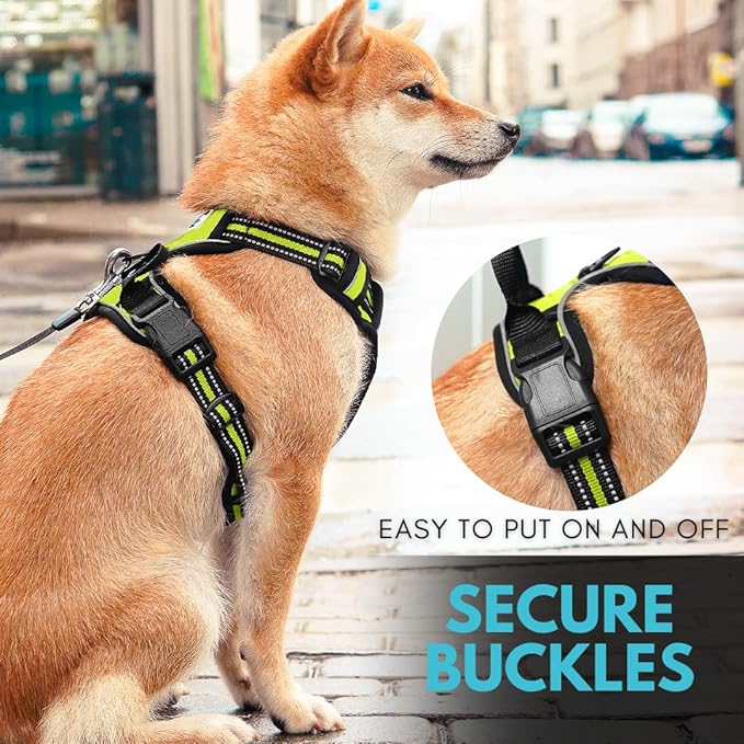 Ziggy Pet Dog Harness Adjustable Nylon Mesh Vest with Leash Clips (Green, Medium)