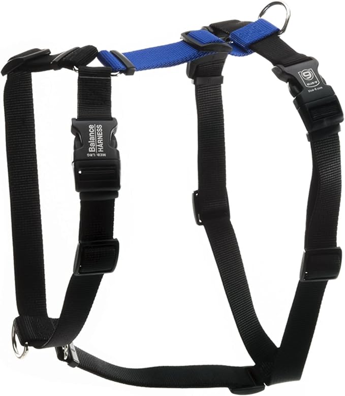 Blue-9 Buckle-Neck Balance Harness, Fully Customizable Fit No-Pull Harness, Ideal for Dog Training and Obedience, Made in The USA, Blue, X-Small