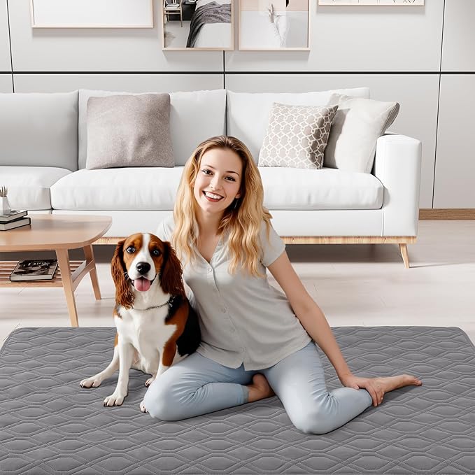 Smiry Reversible Waterproof Couch Covers for Sofa, Washable Dogs Pet Couch Covers for 3 Cushion Sofa Pet Friendly, Water Resistant Furniture Protector Slipcover, Geometric (30"x53", Grey/Light Grey)
