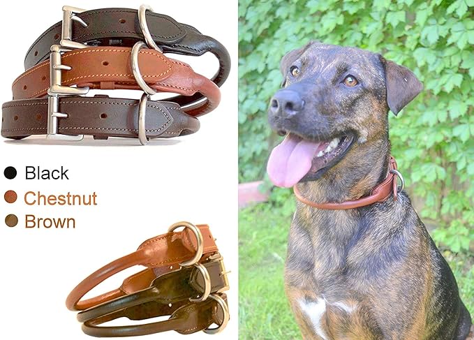 SIE Rolled Leather Dog Collars (18'', Brown)