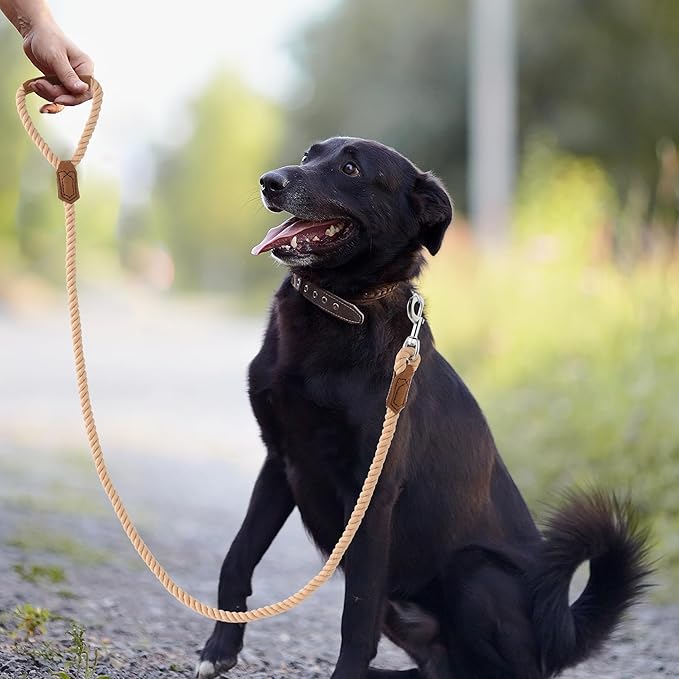 Mile High Life Dog Leash, Braided Cotton Rope Leashes with Leather Handle - Heavy Duty Metal Clasp, 6FT, 1/2" Thick - Wedding, Walking & Training Leash for Small Medium Large Dogs (Light Brown)