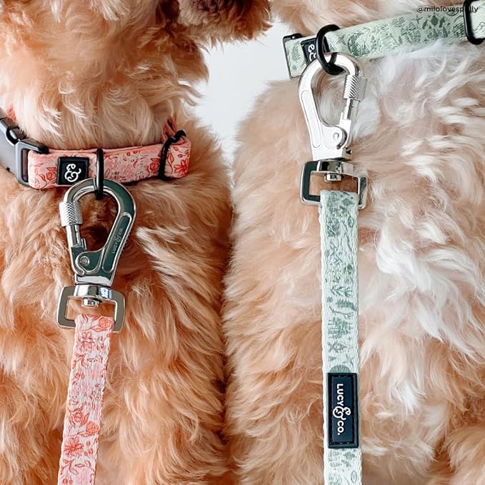 Lucy & Co. 5 Foot Designer Dog Leash for Small, Medium or Big Dogs or Puppies Puppy – Pet Accessories & Supplies- Small-Peach Pink Floral Plaid