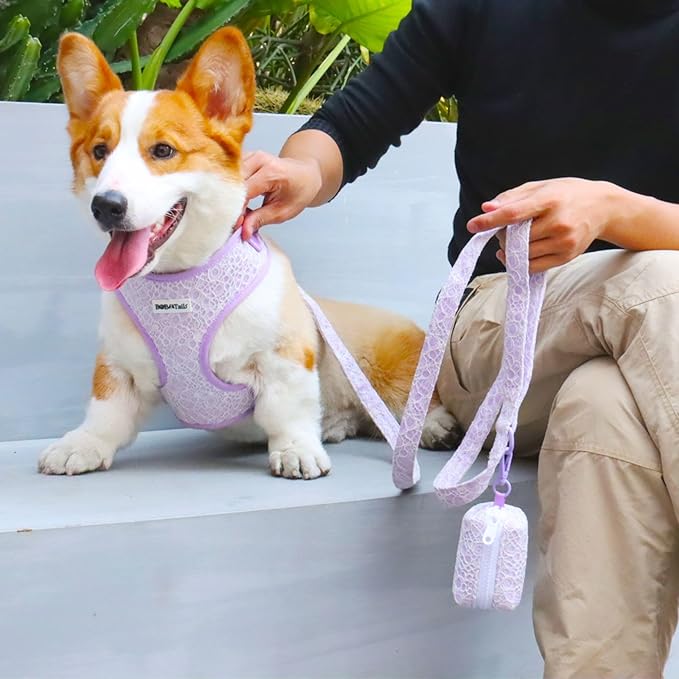 Dog Poop Bag Holder with Clip, Stylish Doggy Waste Bag Dispenser for Dog Leash, Durable Portable Poop Bag Carrier No Include Poop Bag Inside