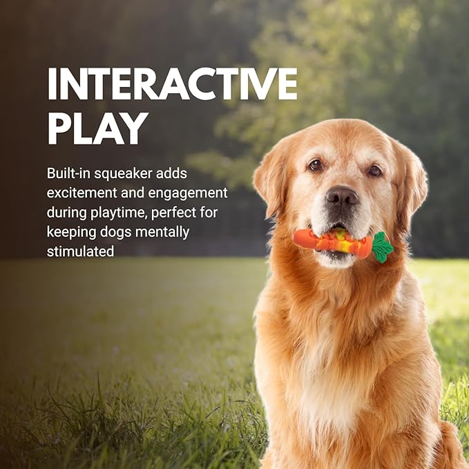 Consumable Corner - Carrot Dog Toy - Silicone Squeaky Chew Toy - for Interactive Play, Teething & Training Durable Material - Safe for All Dogs - Orange - 1 Carrot
