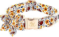Elegant little tail Fall Dog Collar, Halloween Pet Collars with Bow Cute Pumpkin Print Puppy Collar Female or Male Cotton Adjustable Collars for Small Medium Large Dogs