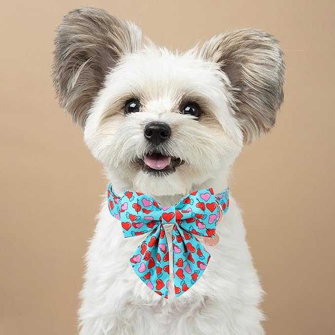 DOGWONG Valentine Dog Collar with Bow, Blue Heart Dog Collar Durable Soft Cotton Pet Dog Collar Cute Heart Valentines Day Puppy Necklace for Small Medium Large Dog