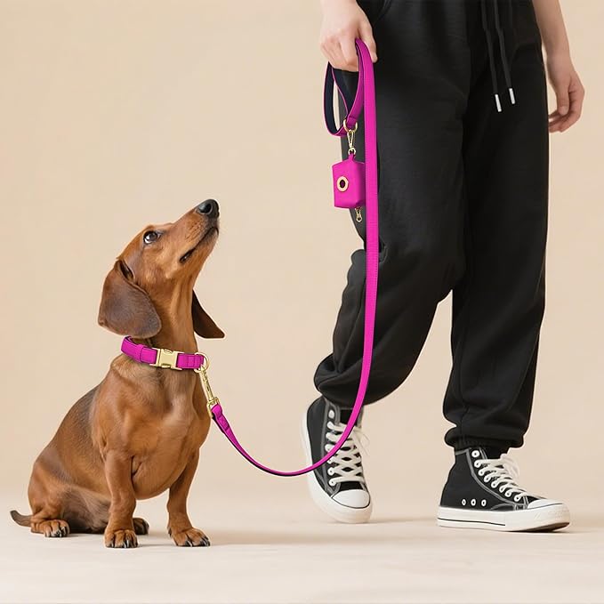 Didog Soft Padded Dog Collars for Medium Dogs, Colorful and Durable Dog Collar with Quick Release Buckle, Light and Breathable for Daily Walking, Rose Purple, M
