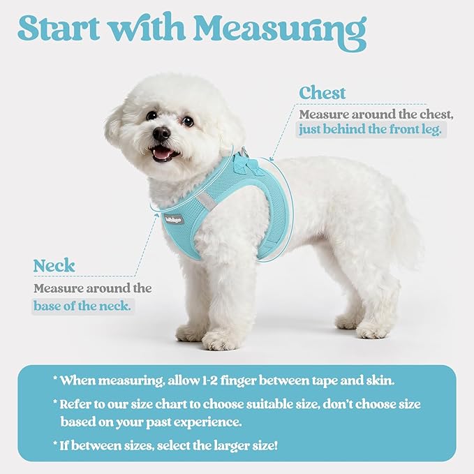 rabbitgoo Dog Harness Small Medium Sized and Leash Set, Step in Soft Light Puppy Vest, Breathable Mesh Pet Harness, Reflective for Safe Easy Walking, Mint Blue L