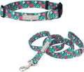 Lucky Love Dog - Adjustable Dog Collar and Leash Set with Easy Click Buckle for Small Dogs, Durable, & Comfortable Collar for Male & Female Dogs, Puppies & Adult Ones - Penny Combo, Small