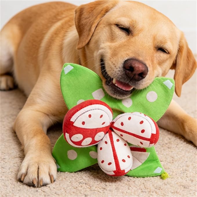 Orange Hide and Seek Plush Dog Toy, Interactive Squeaky Puzzle Toy with Hidden Pockets, Hide and Seek Dog with Crinkle Papers, Watermelon Dog Toy with Squeakers for All Dogs (Watermelon)