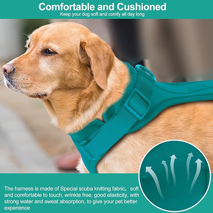 Wisedog No Pull Lightweight Dog Vest Harness with Soft and Comfortable Cushion, Breathable Mesh, for Small Medium Large Dogs Walking (XS(Neck: 7.48"-10.63";Chest: 10.63"-15.35"), Emerald Green)