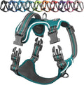 VIVAGLORY Dog Harness Easewalk No Pull Dog Harness with Handle Front Clip & Back Clip for Training Walking Lifting, No Pull Adjustable Easy On Padded Comfortable for Pet, M, Hunter Teal - Patterned