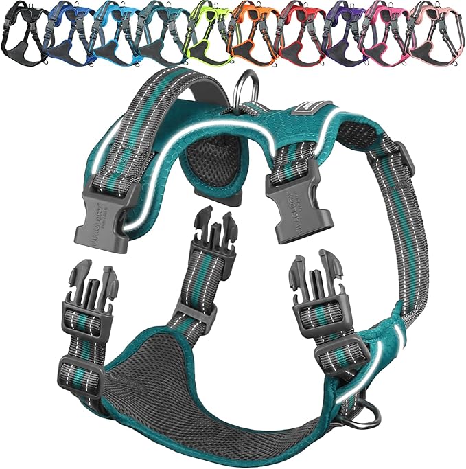 VIVAGLORY Dog Harness Easewalk No Pull Dog Harness with Handle Front Clip & Back Clip for Training Walking Lifting, No Pull Adjustable Easy On Padded Comfortable for Pet, L, Hunter Teal - Patterned