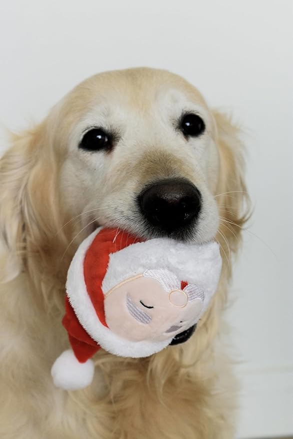 Flourish Pets 2 in 1 Christmas Multi-Layer Chew Toy for Active Dogs | Non-Toxic BPA Free Double Stitched Soft Fabric and Long-Lasting Dog Plush Toys (Christmas Santa 3.5")