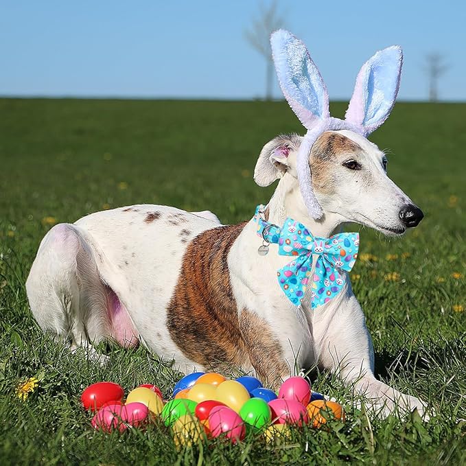 DOGWONG Cotton Easter Dog Collar with Bowtie, Soft Adjustable Blue Rabbit Easter Day Dog Collar Cute Egg Puppy Collar for Small Medium Large Dog