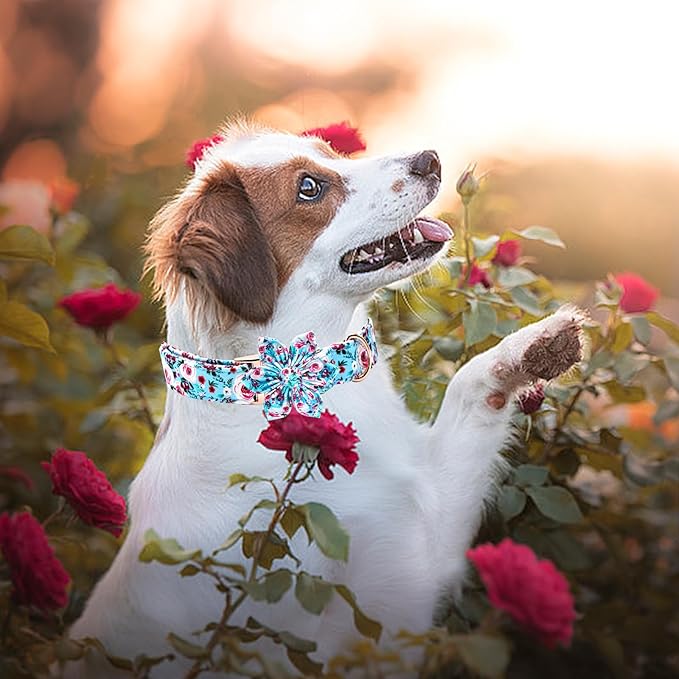 Elegant little tail Dog Collar with Flower, Pink Rose Print Pet Collar Flower Pet Collars Summer Cute Adjustable Dog Collars for X-Large Dogs
