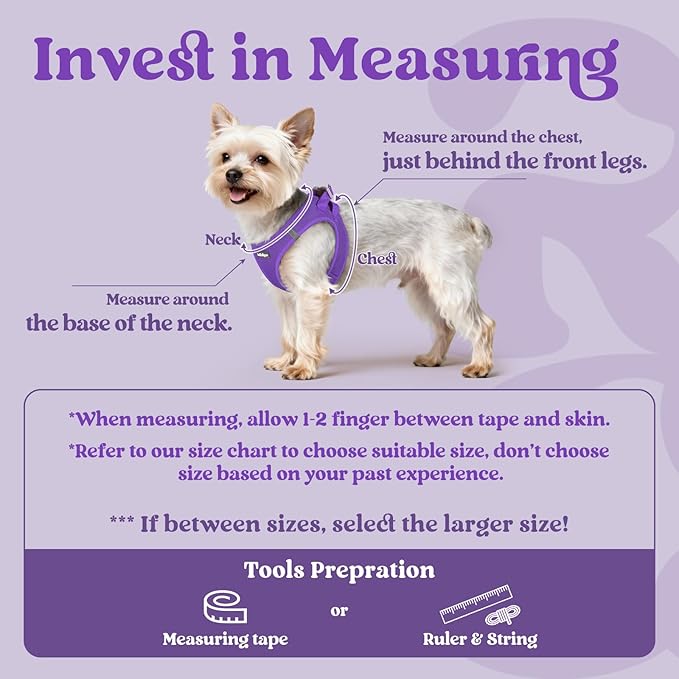 rabbitgoo Small Dog Harness, Step-in Soft Mesh Puppy Vest with Safety Buckle, Breathable Reflective Pet Harness for Small Sized Dogs, Purple M