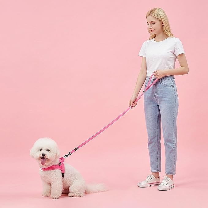 Didog No Pull Dog Harness with Soft Flannel Padded,Reflective & Quick Fit Light Weight Dog Strap Vest Harness,Easy for Walking Training for Small & Medium and Large Dogs(Pink,S)