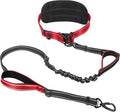 Hands Free Dog Leash, Waist Bungee Leash for Large Dogs, 6-8ft Adjustable Heavy Duty Leashs(50-120 lbs)