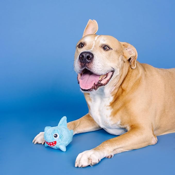 Fringe Studio Out of The Blue Rubber Dog Toy with Plush Exterior, Pet Shop Collection (519018)