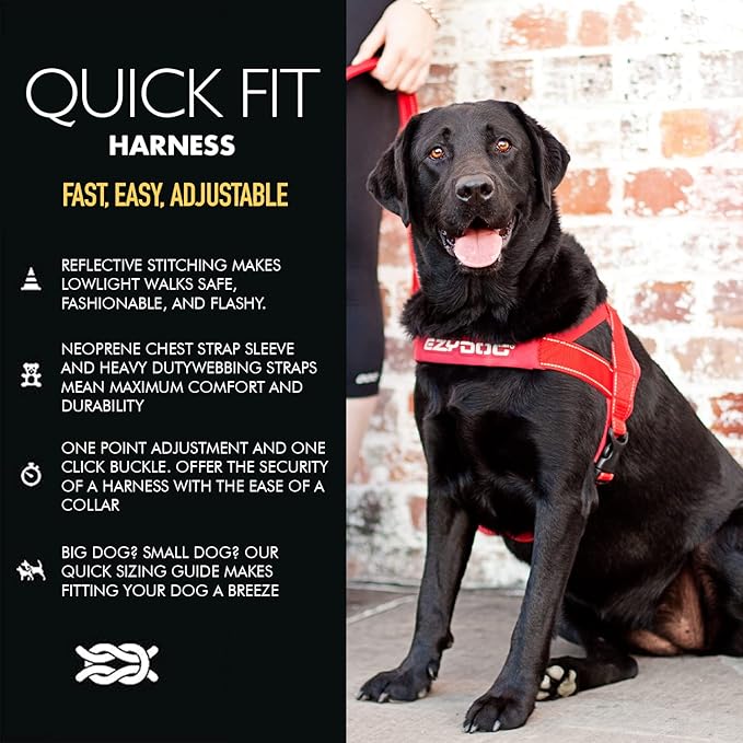 EzyDog Quick Fit Dog Harness – No Pull Harness for Training, Everyday Walking, and Easy Control - Adjustable Fit, Reflective, and Padded (X-Large, Gray)