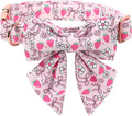 Lionet Paws Strawberry Floral Dog Collar with Sailor Bow, Spring Pink Bow Dog Collars Bow Tie for X-Large Dogs, Neck 16-26 inches