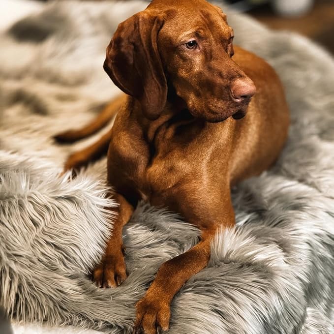 Waterproof Dog Blanket for Small, Medium & Large Dogs – Faux Fur Pet Throw for Couch, Sofa, Bed & Car – Soft, Washable, Stain-Resistant, Durable Cover – Grey – 60" x 50"