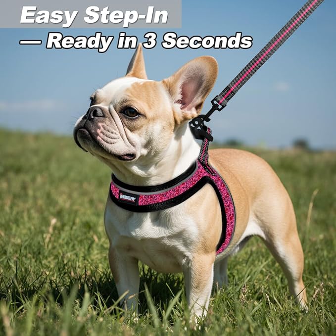 Dog Harness and Leash Set,Step in Small Sized Dog Harness,Soft Mesh,No-Chock,Reflective Adjustable,Secure with Hook & Loop Fastener,Puppy Vest for Small,Medium Dogs(Pink/Black,XXXS)