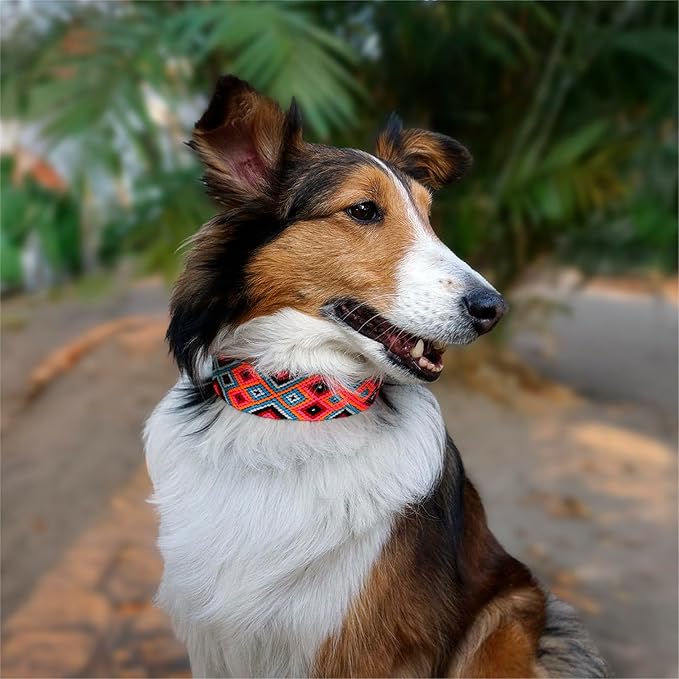 Eternia Premium Leather Dog Collar - Adjustable Handcrafted Collar for Small to Large Dogs (Pink/Orange, XL)