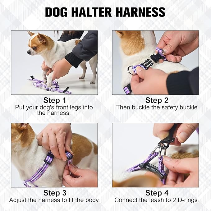 BEAUTYZOO No Pull Dog Harness and Leash Set - Adjustable Step-in Puppy Harness for Small Medium Large Dogs, Escape Proof Soft Nylon Vest with Double D Ring for Walking Running Training, Pink Plaid S