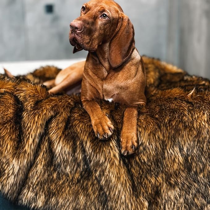 Waterproof Dog Blanket for Small, Medium & Large Dogs – Faux Fur Pet Throw for Couch, Sofa, Bed & Car – Soft, Washable, Stain-Resistant, Durable Cover - Brown 60" x 50"