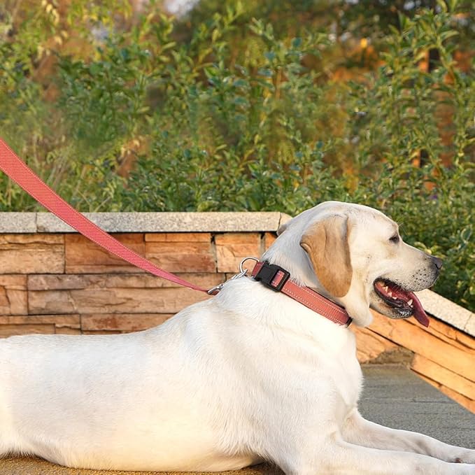 Reflective Dog Leash 6 FT Padded Handle Nylon Dogs Leashes for Small Dogs Coral