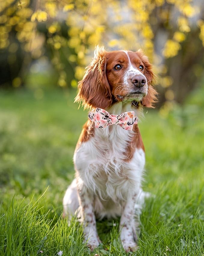 Elegant little tail Pink Floral Dog Collar, Girl Dog Collar with Bow Adjustable Soft Bow tie Dog Collars for Small Dogs and Cats
