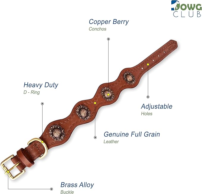 | Genuine Leather Collar with Scalloped Edges | Hand Tooled, Hand Carved, Full Grain, Heavy Duty | Comfortable, Strong (Large (Fit Neck Size 18.5"-22.5"), Brown-Scalloped Edges)