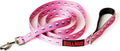 BULLHUG 6 FT Bulldog Leash with Padded Handle. Perfect for French Bulldogs, Pugs & All Breeds. Leash for Walking, Training Lead (Pink Skull)