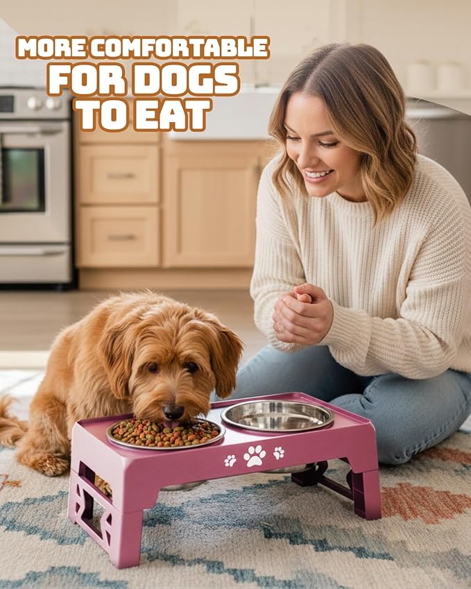 Elevated Dog Bowls, Dog Feeder with 2 Stainless Steel Dishes, 2 Heights Adjustable Raised Stand for Small Dogs, Food Dishes with Non-Slip Feet