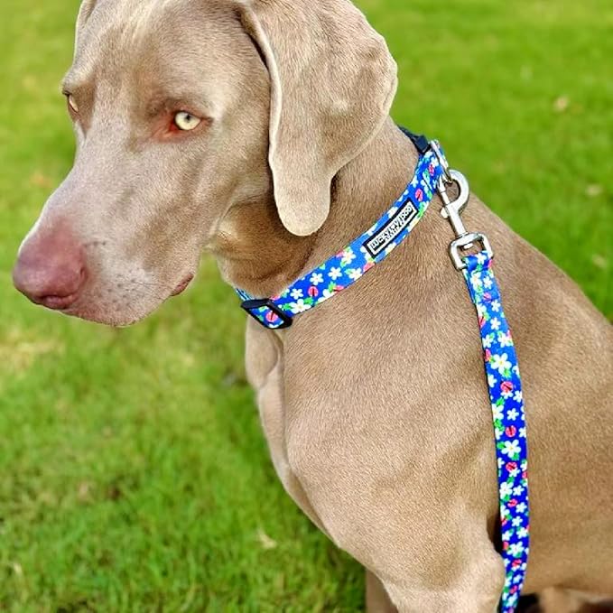 Lucky Love Dog - Easy Click Buckle Dog Collar with Leash Set Combo, Durable & Comfortable for Male & Female Dogs, Pet Collar for Medium Dogs, Secure Fit - Lilian Combo, Medium