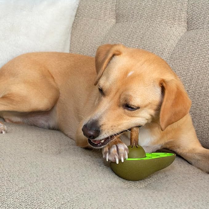 Friends Forever Bully Stick Holder for Dogs, Dog Chew Toys with Slow Feeder Design, Tough Dog Toys with Treat Holder and Made by Natural Rubber, Avocado (Pack of 2)
