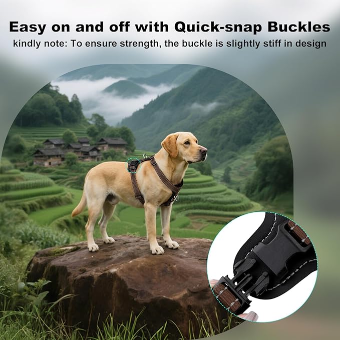 Plutus Pet Adjustable No Pull Dog Harness with Leather Accents, Heavy Duty Reflective Nylon Vest for Training, Hiking, Easy Walk Harness for Small, Medium, Large Dogs (Chocolate, XL)