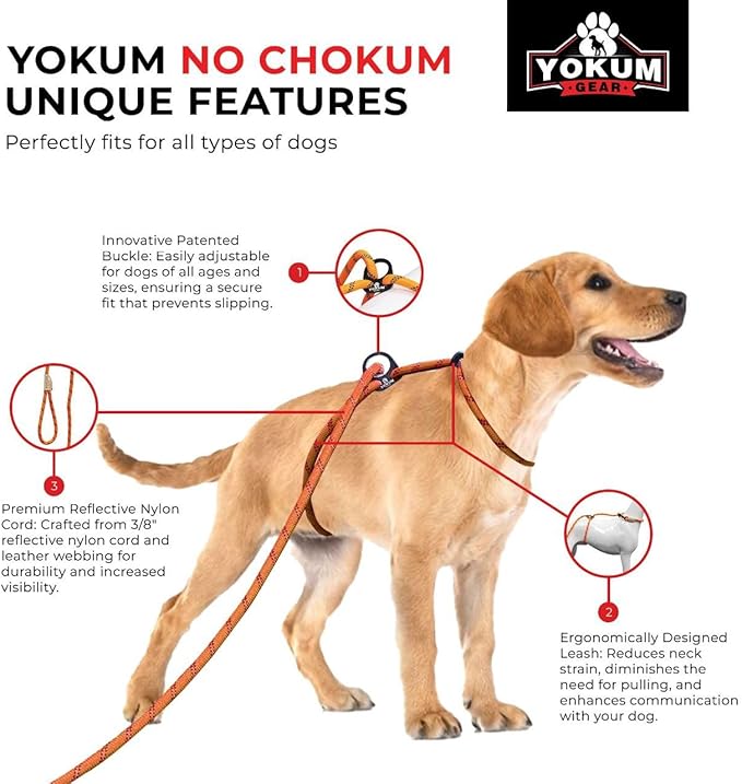 12ft No Pull No Choke Leash Long Rope Dog Leash, Anti Pulling, Dog Leads for Walking, Double Hook & Escape Proof for All Breeds, Reflective Black