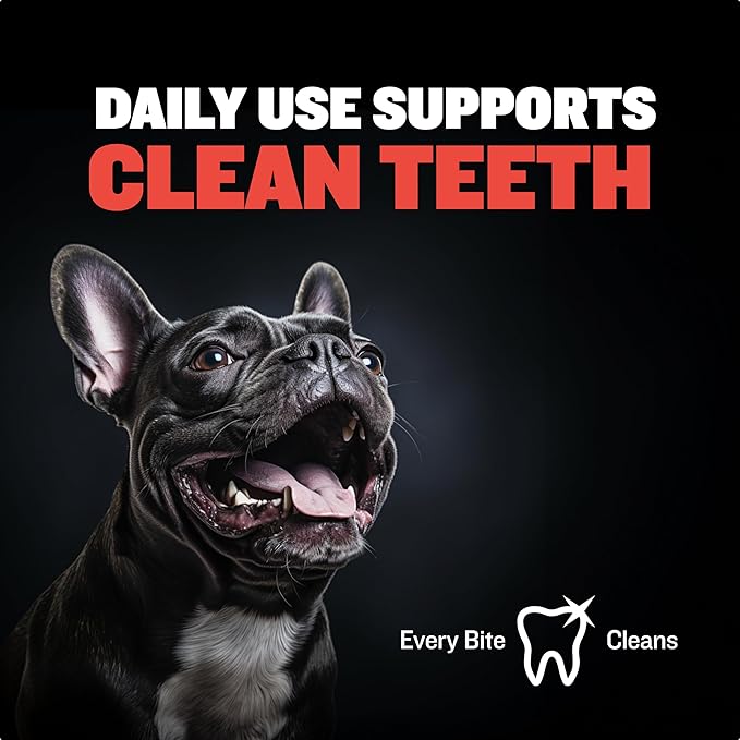 Bully Max Chew Ring Toy Long Lasting Dog Chew Toy for Power Chewers, Big Dogs, & Pit Bulls. Improves Mental Health, Keeps Dogs Busy for Hours.