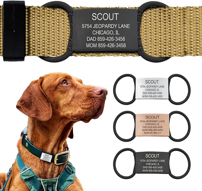Personalized Dog Tags by ROAD iD | Silent & Durable | Jingle-Free Slide-On Design | Stainless Steel Name Tag Fits Any Collar | Multiple Colors & Sizes for Your Pet's Unique Style