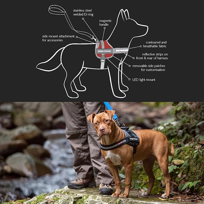 EzyDog Convert Dog Harness – Trail-Ready Rugged Harness for Walking, Hiking & Outdoors with Reflective Piping, Badge Attachment Points, Traffic Handle, & Comfort Lining (X-Small, Charcoal)