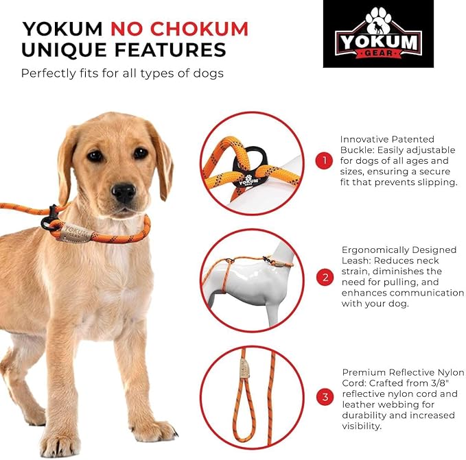 12ft No Pull No Choke Leash Long Rope Dog Leash, Anti Pulling, Dog Leads for Walking, Double Hook & Escape Proof for All Breeds, Reflective Teal