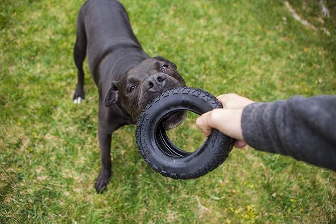 Mammoth TireBiter II Dog Toy 6" W - Pack of 2