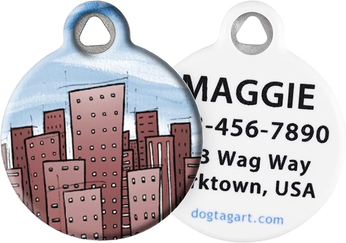 Dog Tag Art Personalized United States Flags Pet ID Tags for Dogs and Cats, Cityscape, Small