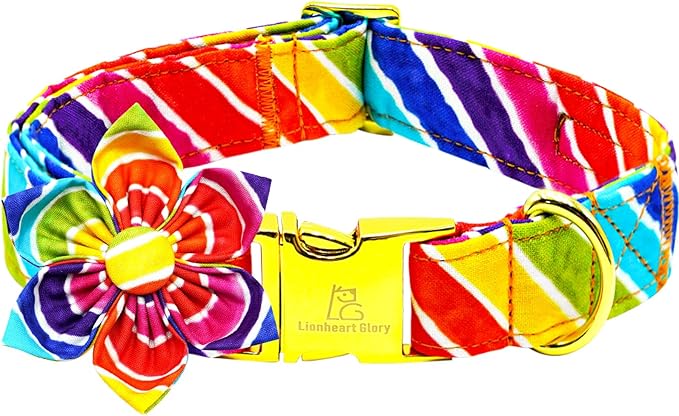 Lionheart glory Rainbow Dog Collar with Flower Colorful Summer Dog Flower Collar Heavy Duty Adjustable Pride Collars for Small Dogs Pet Gift Holiday