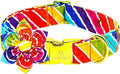 Lionheart glory Rainbow Dog Collar with Flower Colorful Summer Dog Flower Collar Heavy Duty Adjustable Pride Collars for Small Dogs Pet Gift Holiday