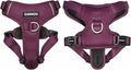 DJANGO Tahoe No Pull Dog Harness – Escape-Proof Dog Harness for Small & Medium with Front & Back Clips for Everyday Use – Adjustable, Padded, Reflective, Secure, Easy On/Off – Raspberry Purple, Medium