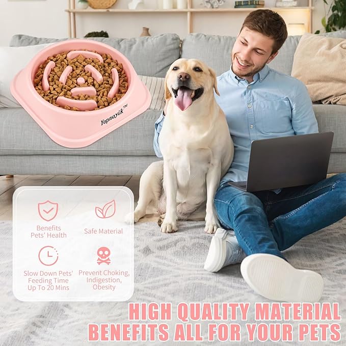Slow Feeder Dog Bowls for Healthy Eating, Non-Slip and Anti-Choking Design, Reduces Bloating & Overeating for Large Dogs, Easy to Clean